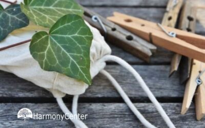 De bijzondere klimop (met recept voor groen wasmiddel)