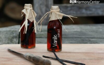 Vanille extract en vanillesuiker zelf maken