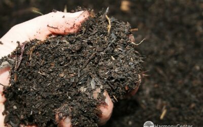 Compost maken in 3 weken – hot composting