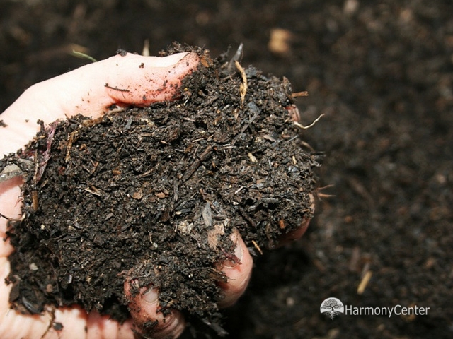 compost