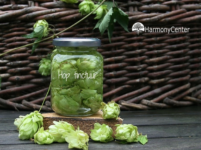 Hoptinctuur zelf maken