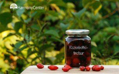 Rozenbotteltinctuur zelf maken