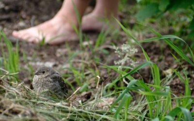 Geef ruimte aan de pioniers onder ons: over verkennen, leren en durven