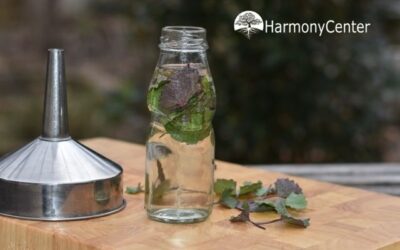 Look zonder look (incl. recept LZL-azijn)