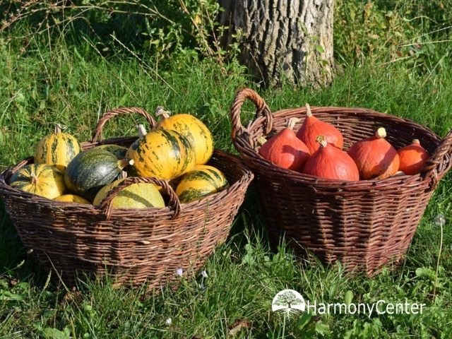 De gezonde veelzijdige pompoen