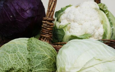 Kool is superfood en hoe je kool kompres maakt