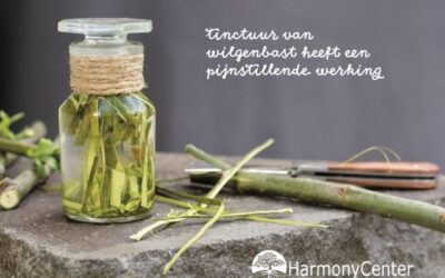Hoofdpijntinctuur maken – Natuurlijk middel bij hoofdpijn