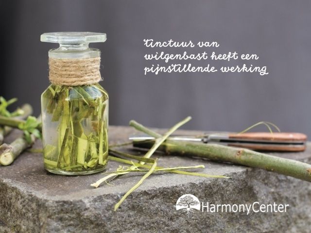 Hoofdpijntinctuur maken – Natuurlijk middel bij hoofdpijn