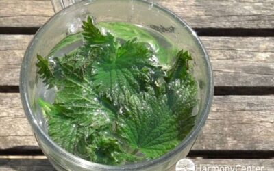 Brandnetel als helper