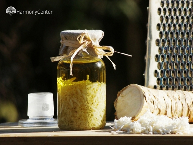 Mierikswortel eten en olie maken