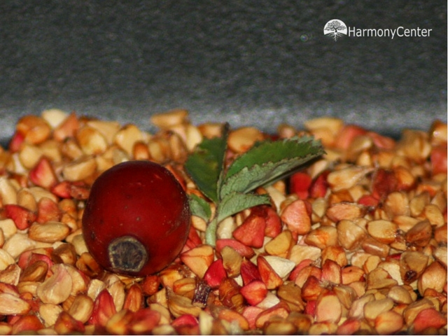 Rozenbottels – ware multivitamine bommetjes