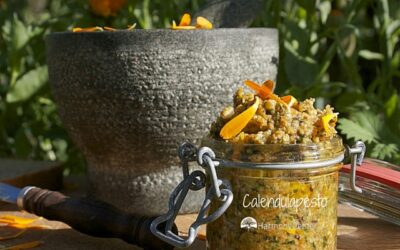 Helende goudsbloem en recept calendulapesto