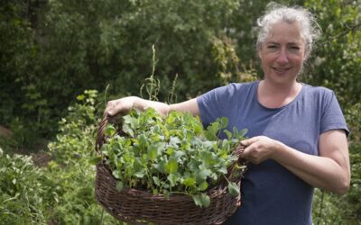 Eénjarige planten bestaan niet
