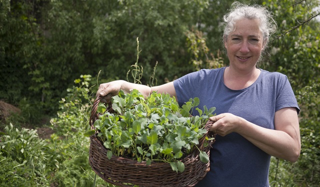 Eénjarige bestaan niet