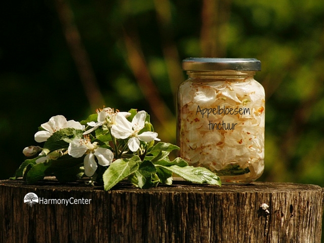 Appelbloesemremedie, geneeskracht van appelbloesem voor balans