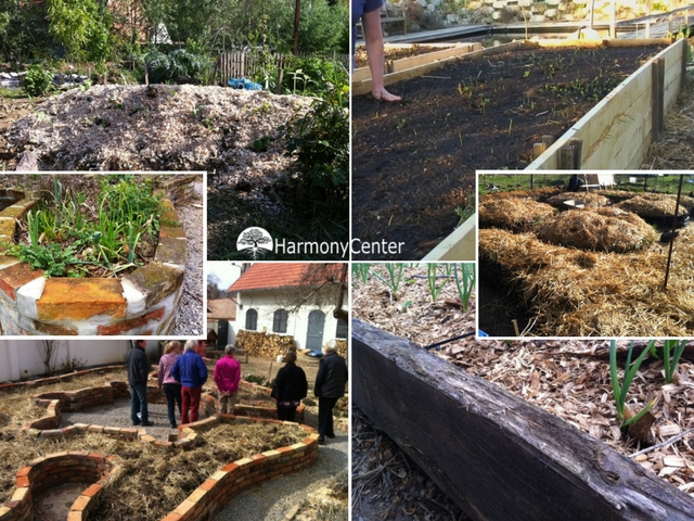 Verhoogde bedden in de tuin – 5 experimenten