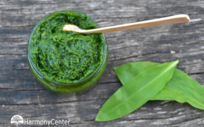 Daslook en daslookpasta