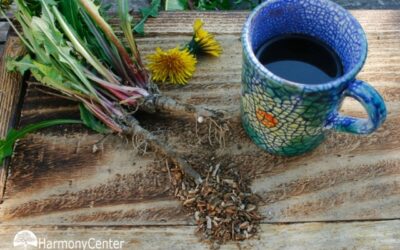 Paardenbloemwortelkoffie maken – een natuurlijke koffievervanger