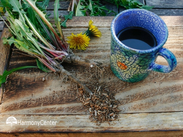 paardenbloemwortelkoffie