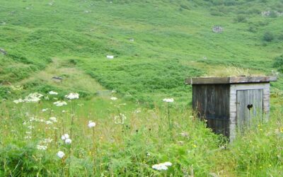 De natuurlijke kringloop: over poepen na de maaltijd