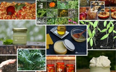 Top 10 Meest gelezen blogs in 2019