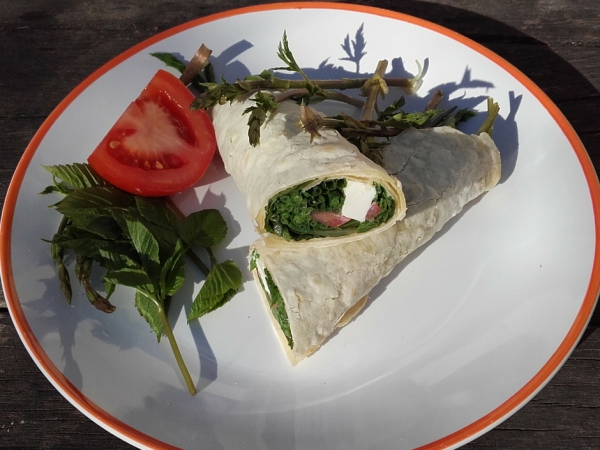 Recept Wraps met hopscheuten en zevenblad