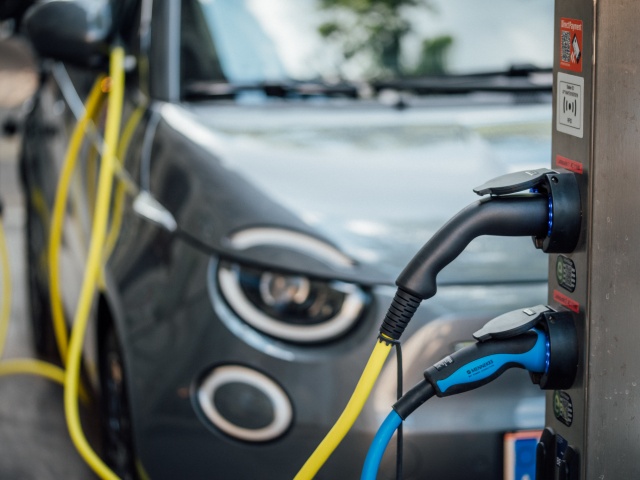 De schaduwzijde van groen