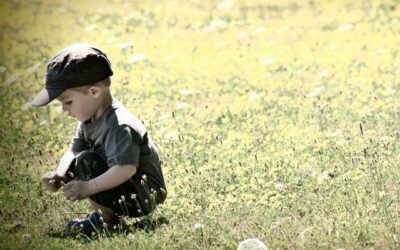 Wij zijn natuur in overvloed