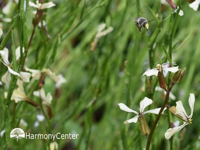 Tijd om jezelf te voeden