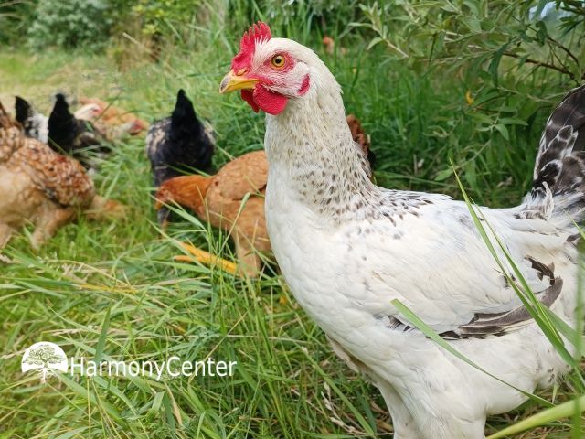 Alles heeft een andere kant