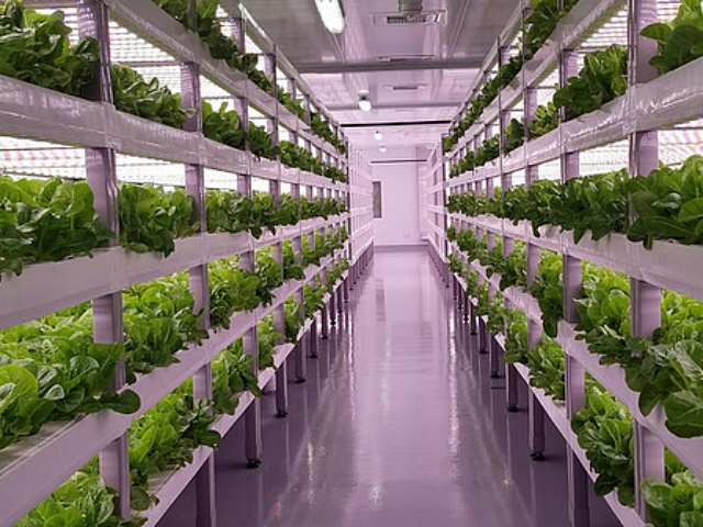 Hoe natuurlijk is ons voedsel nog?