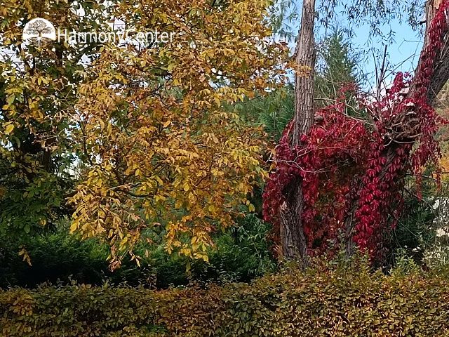 kleuren