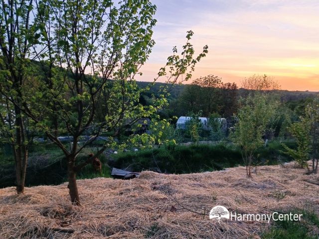 De dagen dat zelfvoorzienend leven schuurt