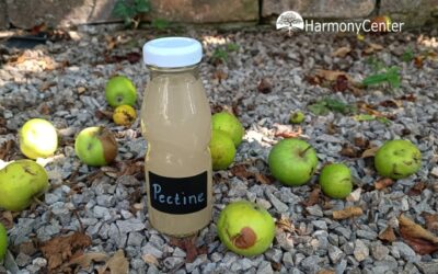 Pectine maken van valappeltjes