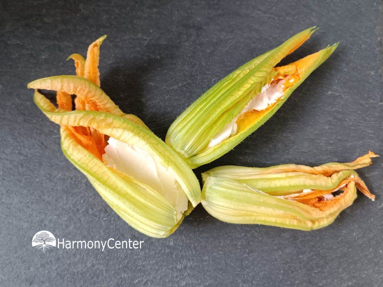 courgette bloem gevuld met zachte kaas